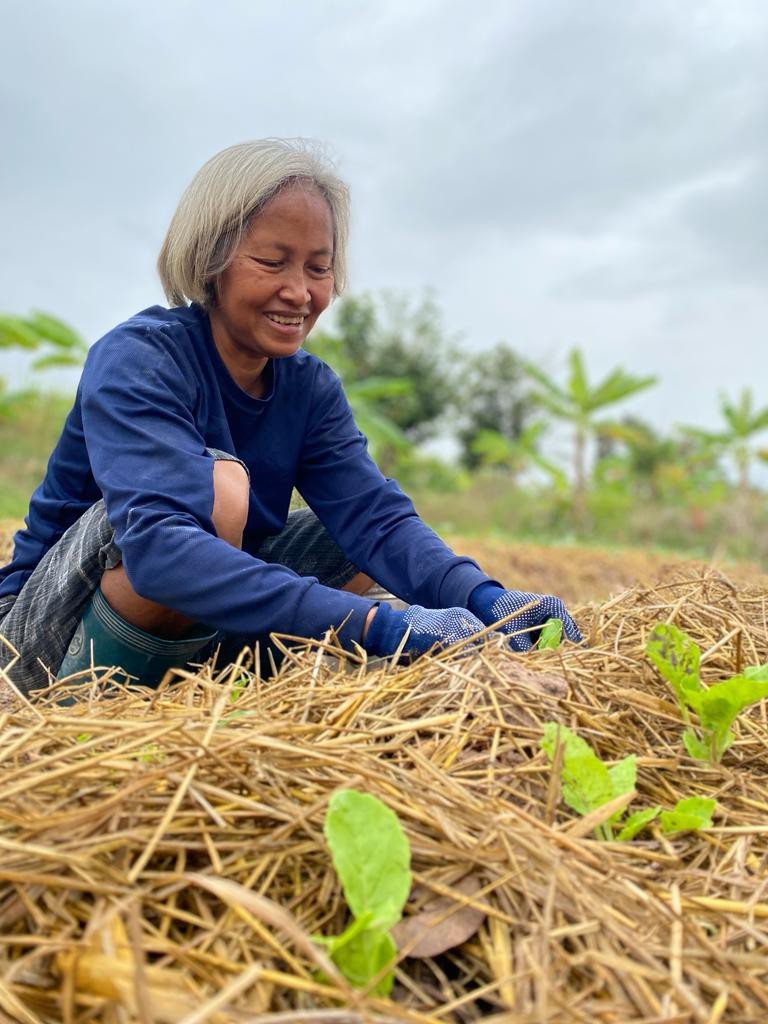 Chemical-Free Farming