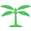 Fruit Tree icon